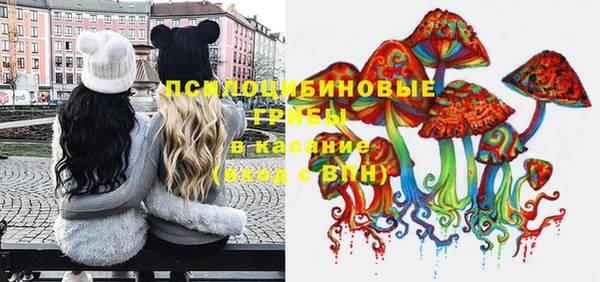 прущая мука Армянск