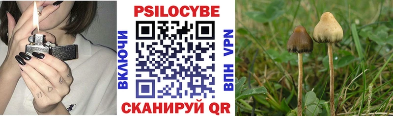 Галлюциногенные грибы ЛСД  Юрьевец 